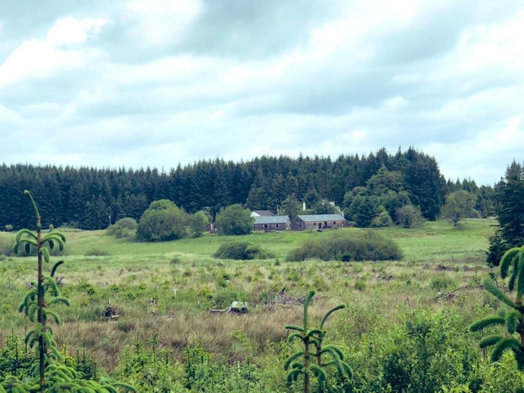 Maberry Cottage Bargrennan Esterno foto